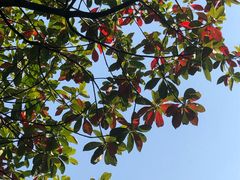 -钟山体育运动公园