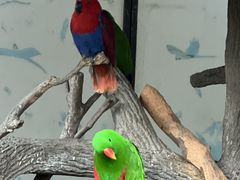 -二扁私房面馆(崂山路店)