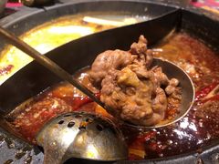 -蜀大侠火锅(四川北路店)