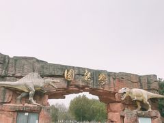 -上海海湾国家森林公园