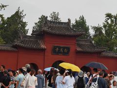 -洛阳白马寺