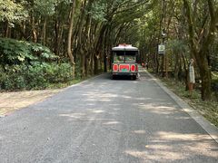 -同里国家湿地公园