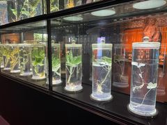 -广东中医药博物馆