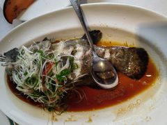 -老洋房花园饭店(绍兴路店)