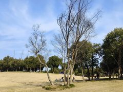 -广富林郊野公园