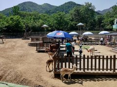 -西安秦岭野生动物园