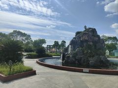 -上海都市菜园