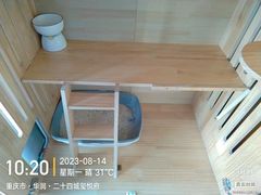 -重庆轻喜到家家政保洁