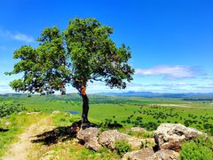 -五角枫生态旅游景区