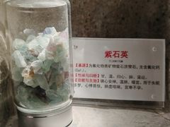 -广东中医药博物馆