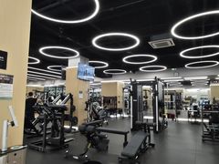 -Z&B Fitness Studio·Gym(前滩L+PLAZA店)