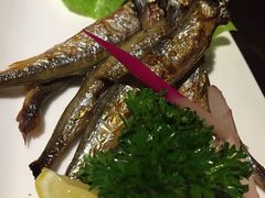 -禅猫日本料理