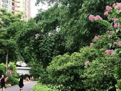 -晓港公园