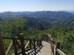 -大岭沟猕猴桃谷风景区