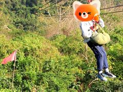 -呀诺达热带雨林