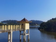 -青龙山国家森林公园