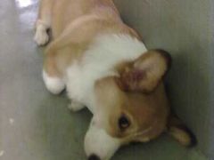 -22cafe