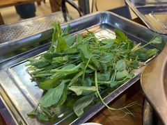 -金鼎雪山牦牛杂火锅(理县总店)