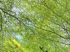 -广州市第二少年宫