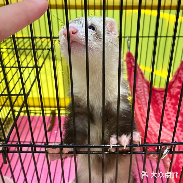 嘉兴探店｜合乐城“遇见萌宠”