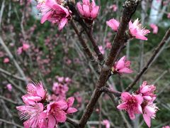 -仙海旅游度假区