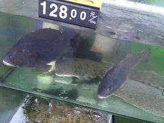 -四海鲜渔家菜(黄金海岸店)