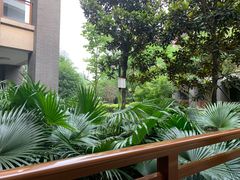-成都安仁福朋喜来登酒店