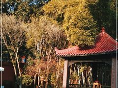-翠园十八号庭院餐厅