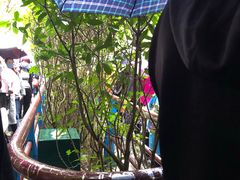 -韶山毛泽东同志故居