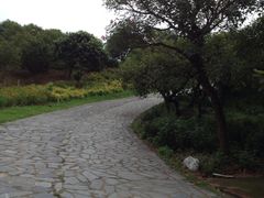 -松山湖梦幻百花洲