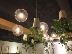 店内布置-柴务处·柴犬主题狗咖