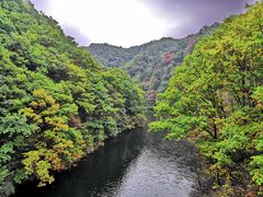 -洛阳白云山景区