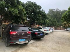 -满記土窑烧鷄波浪山莊