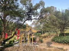 -广州市白云山风景名胜区