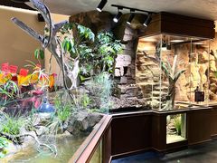 -帕帕拉兹宠物(亚洲旗舰店)