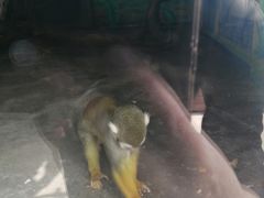 -西安秦岭野生动物园