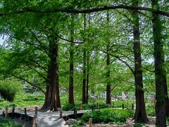 -国家植物园南园