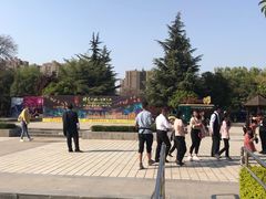 -洛阳郁金香牡丹园