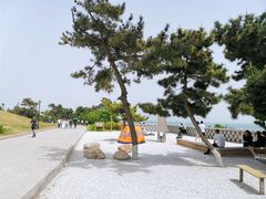 -小麦岛公园
