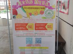 -小鱼草莓采摘园农家乐·小鱼餐厅