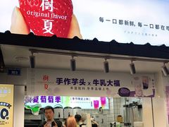 门面-树夏(建设路店)