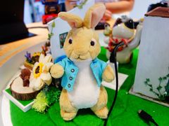 -星光摄影器材城