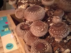 -大头椰·椰子鸡火锅(南宁万象城店)