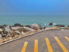 -广东惠东海龟国家级自然保护区