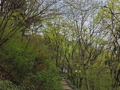 -句容茅山景区