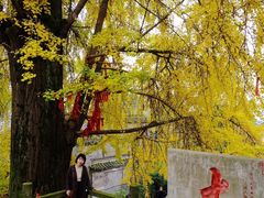 -金堂县云顶石城风景区