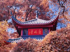 -岳麓山风景名胜区
