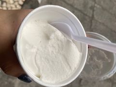 -洪馨椰子