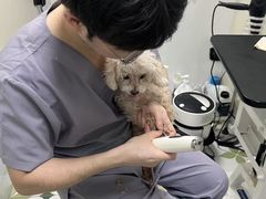 -达爱动物医院·犬猫分区·CT·复杂眼科(远洋山水分院)