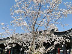 -青果巷历史文化街区